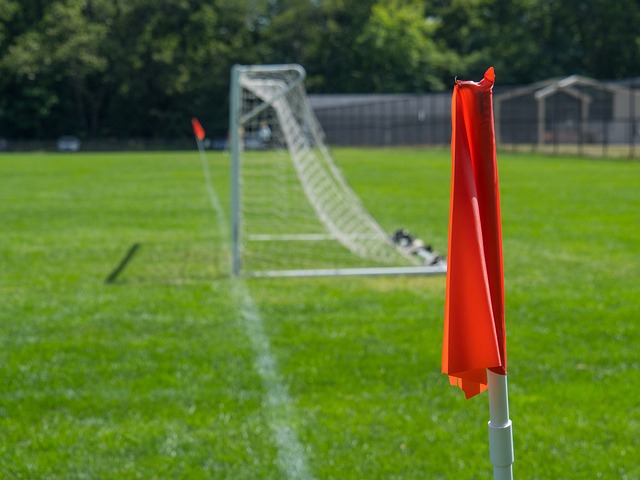 用实力和智 用实力和智