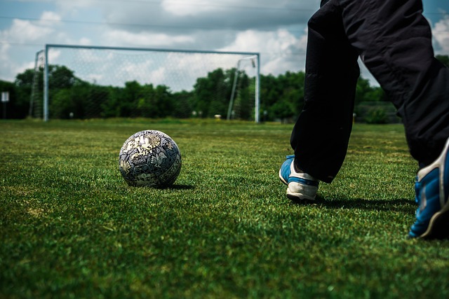 了表现出色 了表现出色