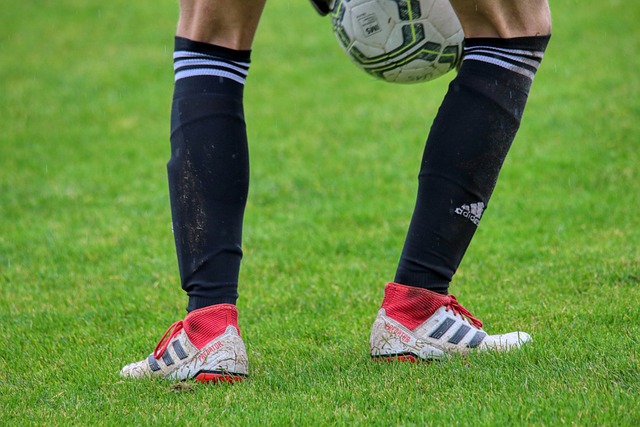 仅用几个赛 仅用几个赛